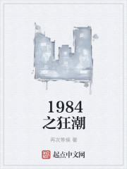 1984之狂潮小說封面
