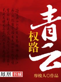 權路青雲小說免費封面