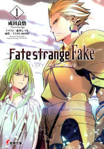 Fate Strange Fake小说封面